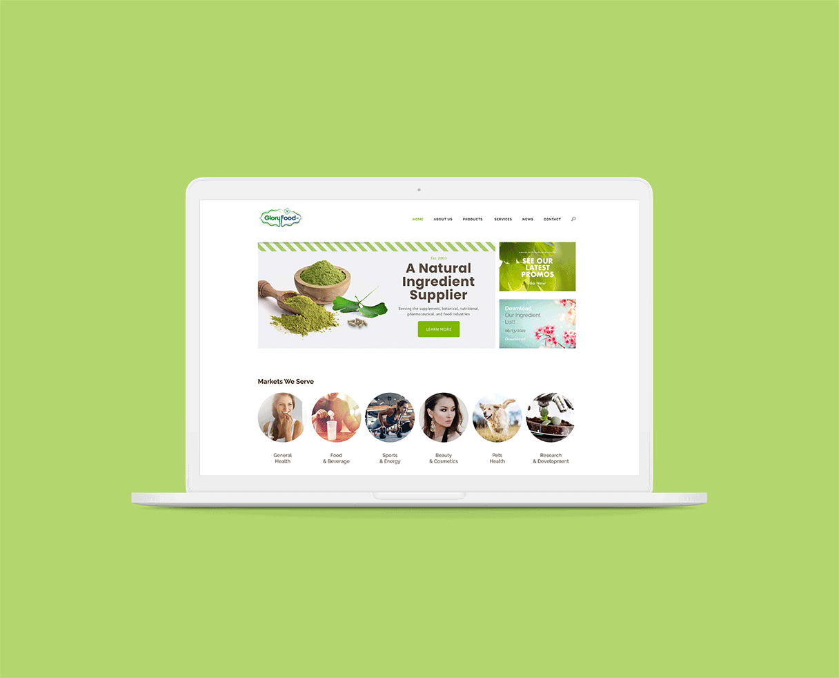 Web Design for Nutrition Company